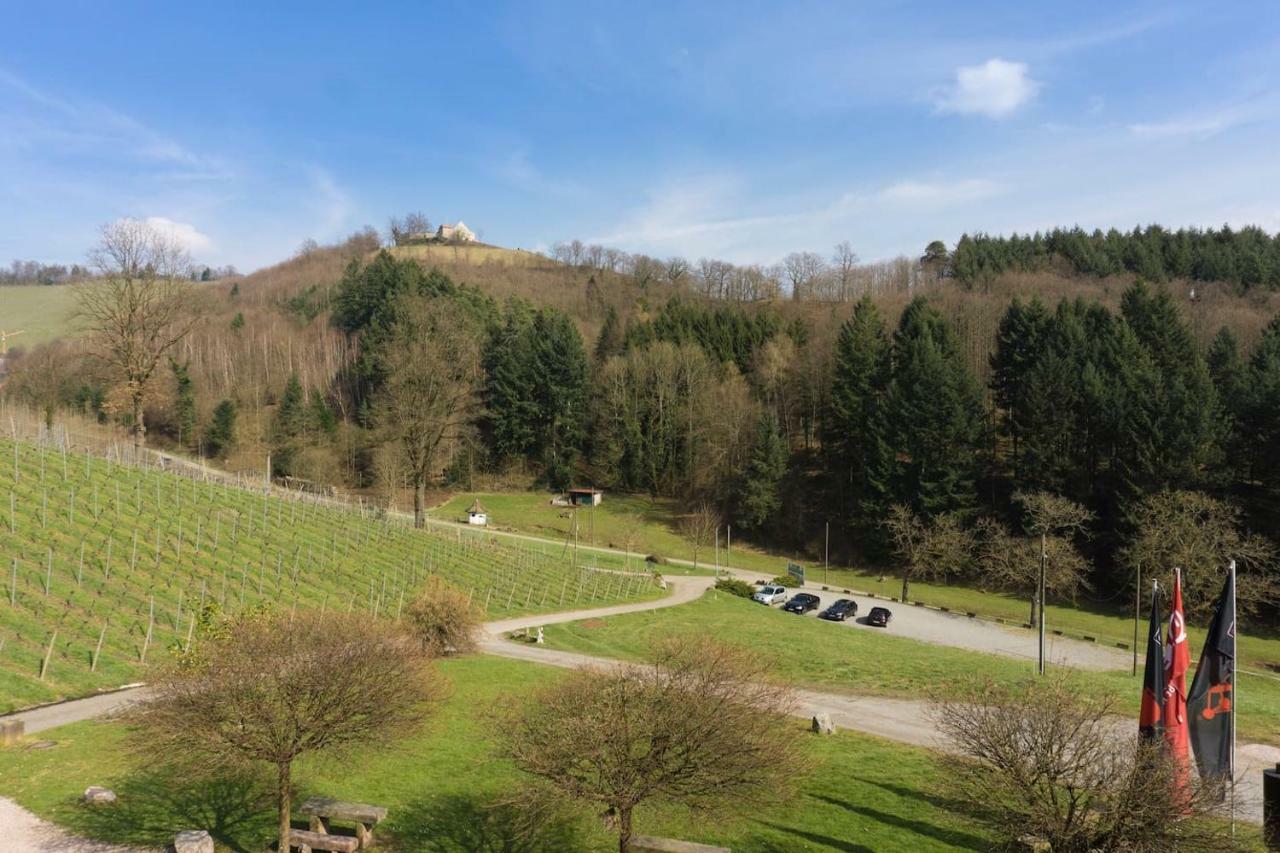 Wein Lodge Durbach - Schlossblick מראה חיצוני תמונה