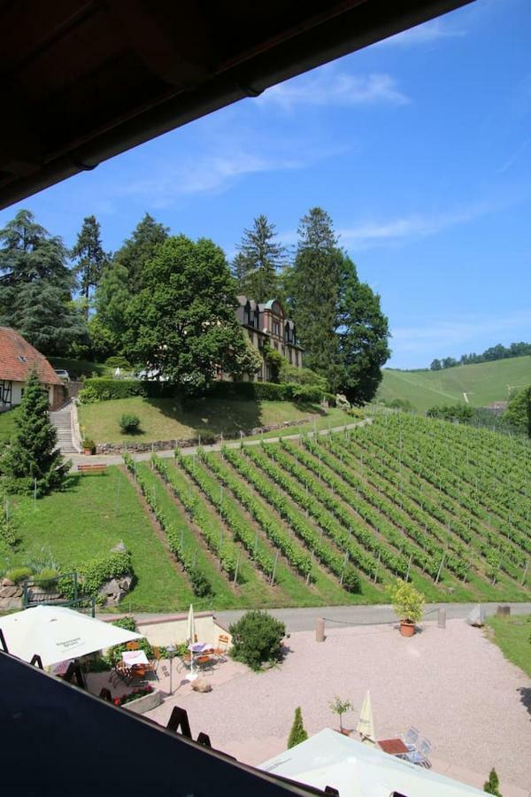 Wein Lodge Durbach - Schlossblick מראה חיצוני תמונה